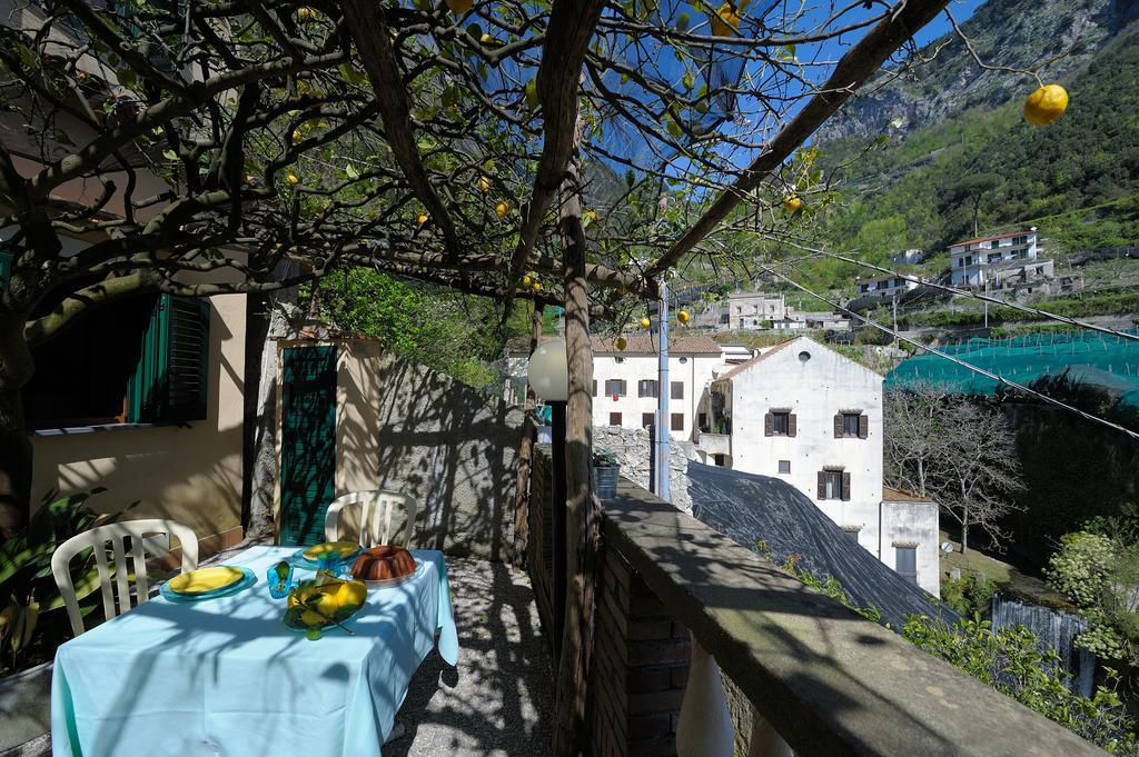 Lemon Garden Apartment Амалфи Стая снимка